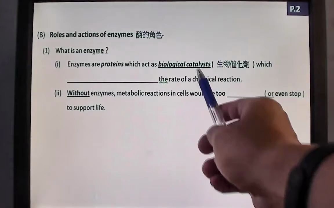 Enzymes(II)  Activation energy and enzymatic reactions哔哩哔哩bilibili