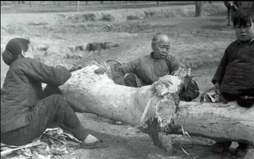 菜人哀,何其悲哀矣