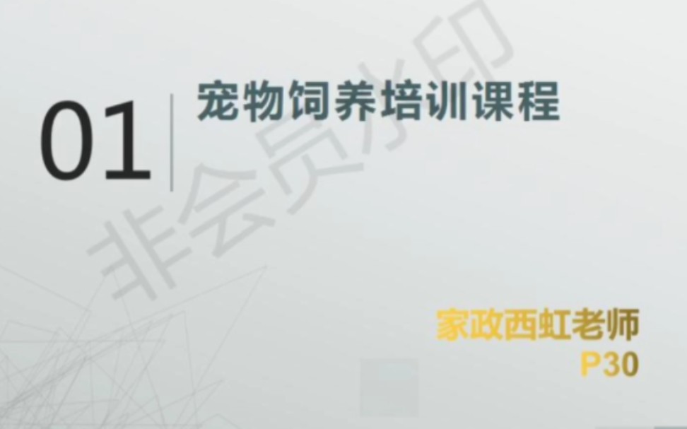 家政技能宠物饲养培训课程哔哩哔哩bilibili