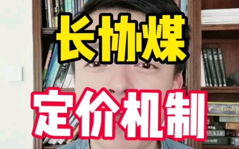 什么是长协煤?长协煤的价格怎么确定的?哔哩哔哩bilibili