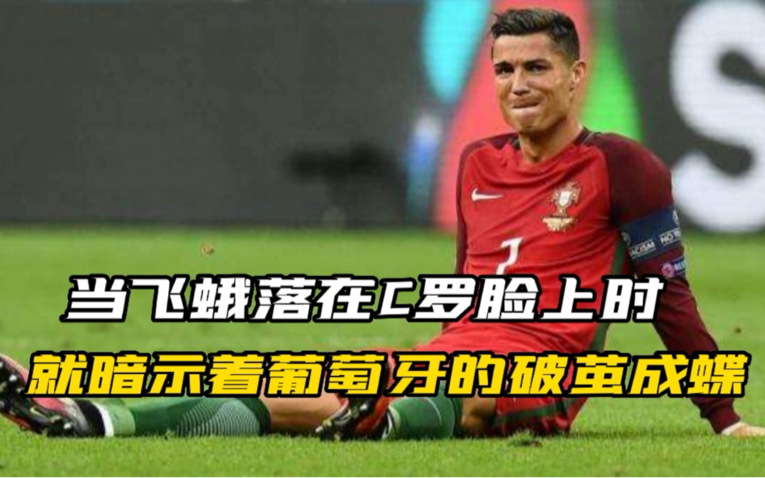 当飞蛾落在c罗脸上时,就已经在暗示着葡萄牙的破茧成蝶!