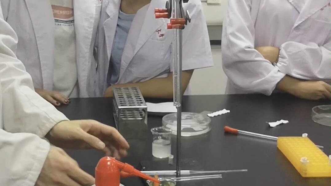 生化实验凝胶层析可能有部分步骤没拍到基本上是全的