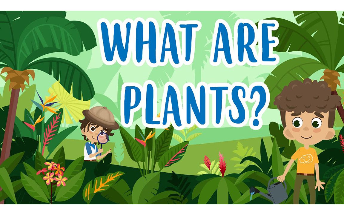 WHAT ARE PLANTS? | Educational Videos for Kids哔哩哔哩bilibili