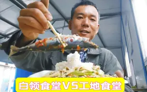 Download Video: 农民工去白领食堂吃饭，直呼比工地食堂贵真好吃！工地伙食也不错