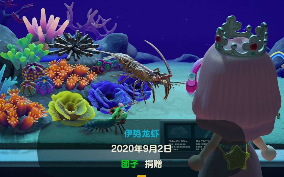 [图]【动森】海洋生物全图鉴之后！博物馆变成什么样子了？