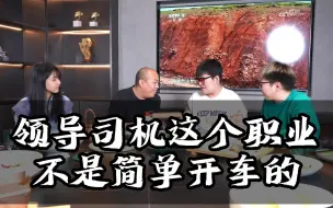 Video herunterladen: 你以为的领导的司机是这样的吗？