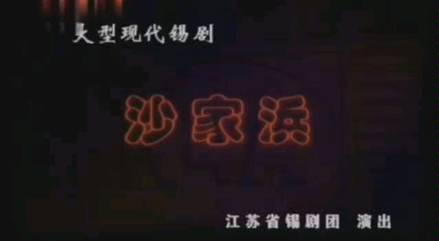 【锡剧】《沙家浜》——周东亮、董云华(江苏省锡剧团)哔哩哔哩bilibili