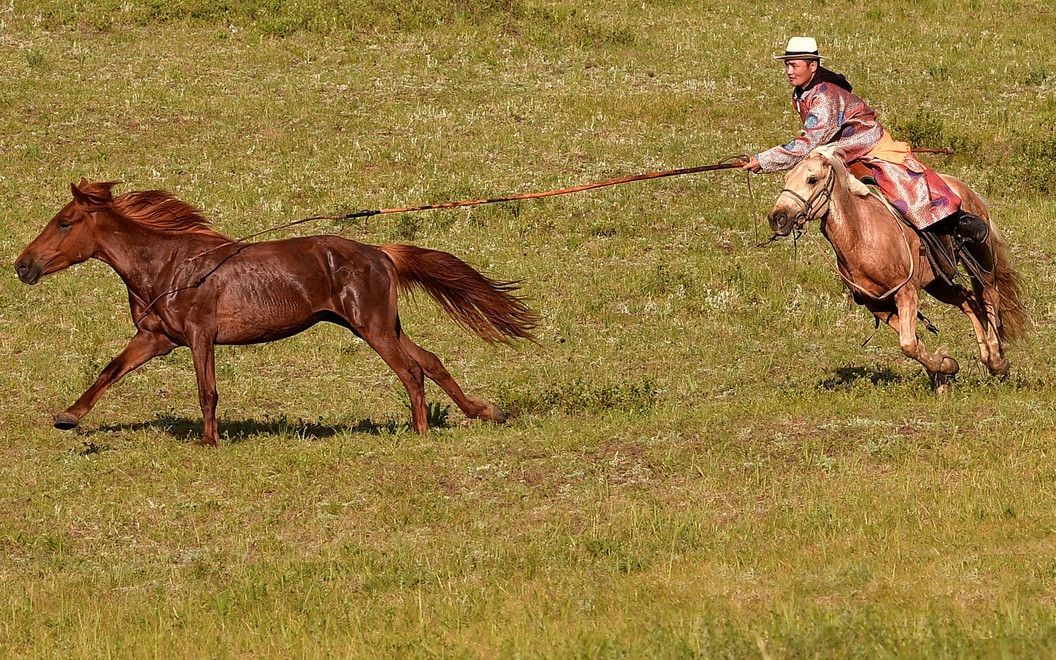 萌新套马人98(一库走,sekiro)