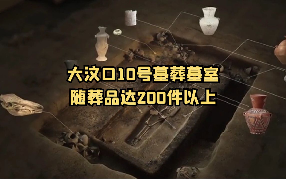 大汶口10号墓葬墓室,随葬品达200件以上哔哩哔哩bilibili