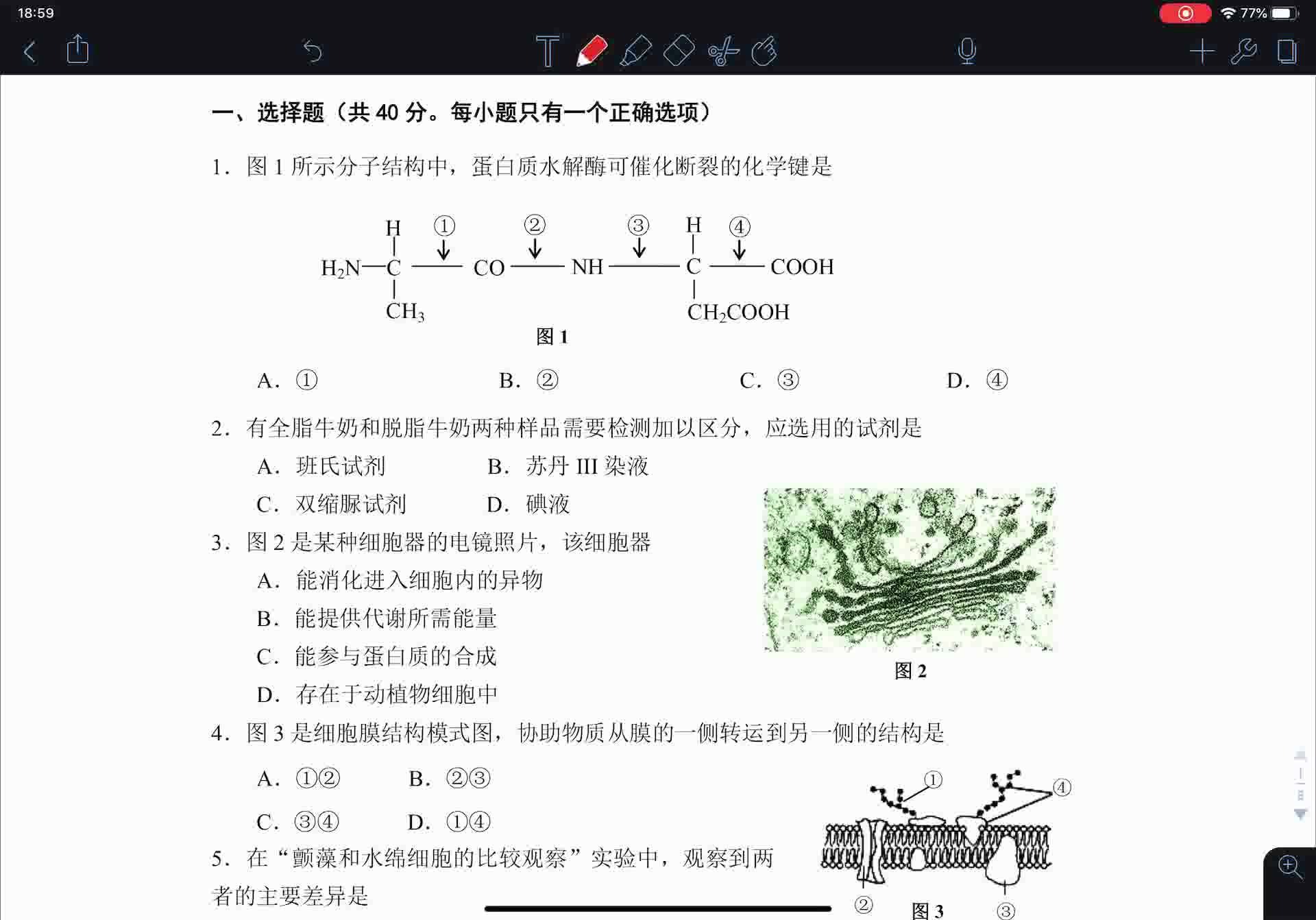 虹口区2019年生命科学选择题哔哩哔哩bilibili