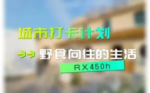 Download Video: 野食向往的生活|全新RX