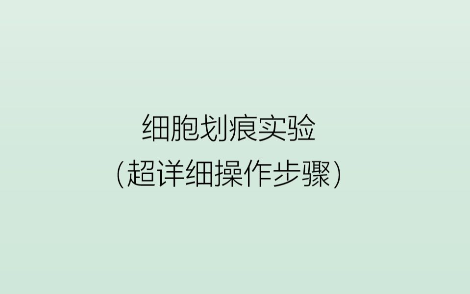 【细胞划痕实验】超详细手把手教!Wound healing!哔哩哔哩bilibili