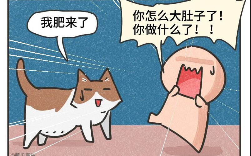 【科普】马斯基萌宠百科之布偶猫哔哩哔哩bilibili