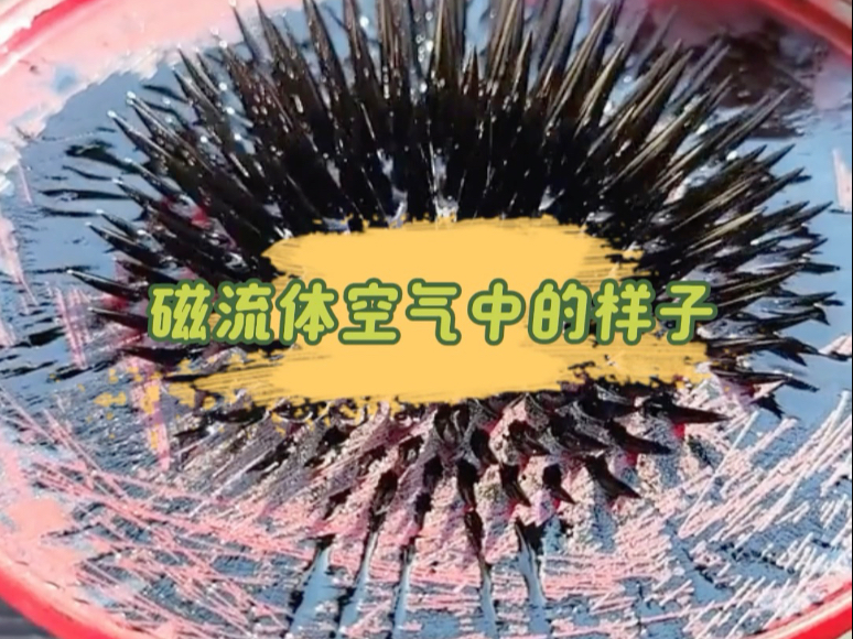 磁流体怎么玩=磁流体是什么做成的