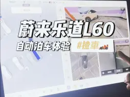 Download Video: 蔚来乐道L60 | 自动泊车🅿️体验