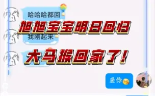 Download Video: 宝哥确定明日回归，大马猴终于有家可归了！！旭旭宝宝