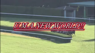 Video herunterladen: 【MAD】赛马×赛马娘× U.M.A. NEW WORLD! 全114位马娘