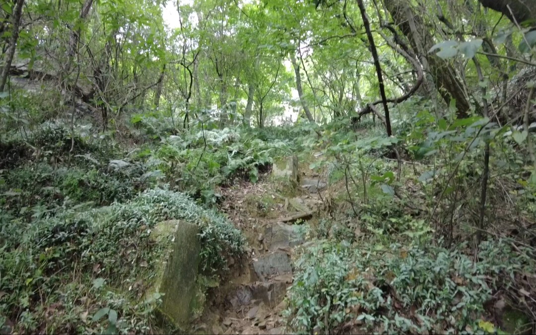 [图]夏日徒步～常熟虞山