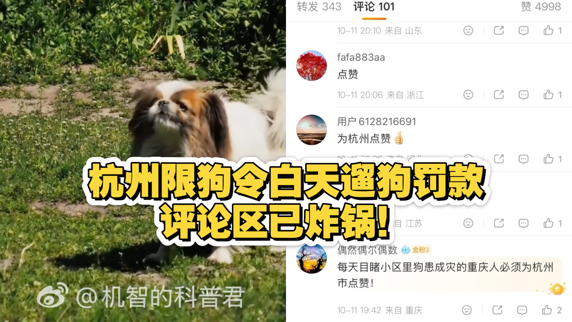 杭州限狗令白天遛狗罚款，评论区已炸锅！