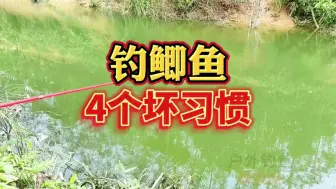 Descargar video: 钓鲫鱼这4个坏习惯，会让你鱼获减半