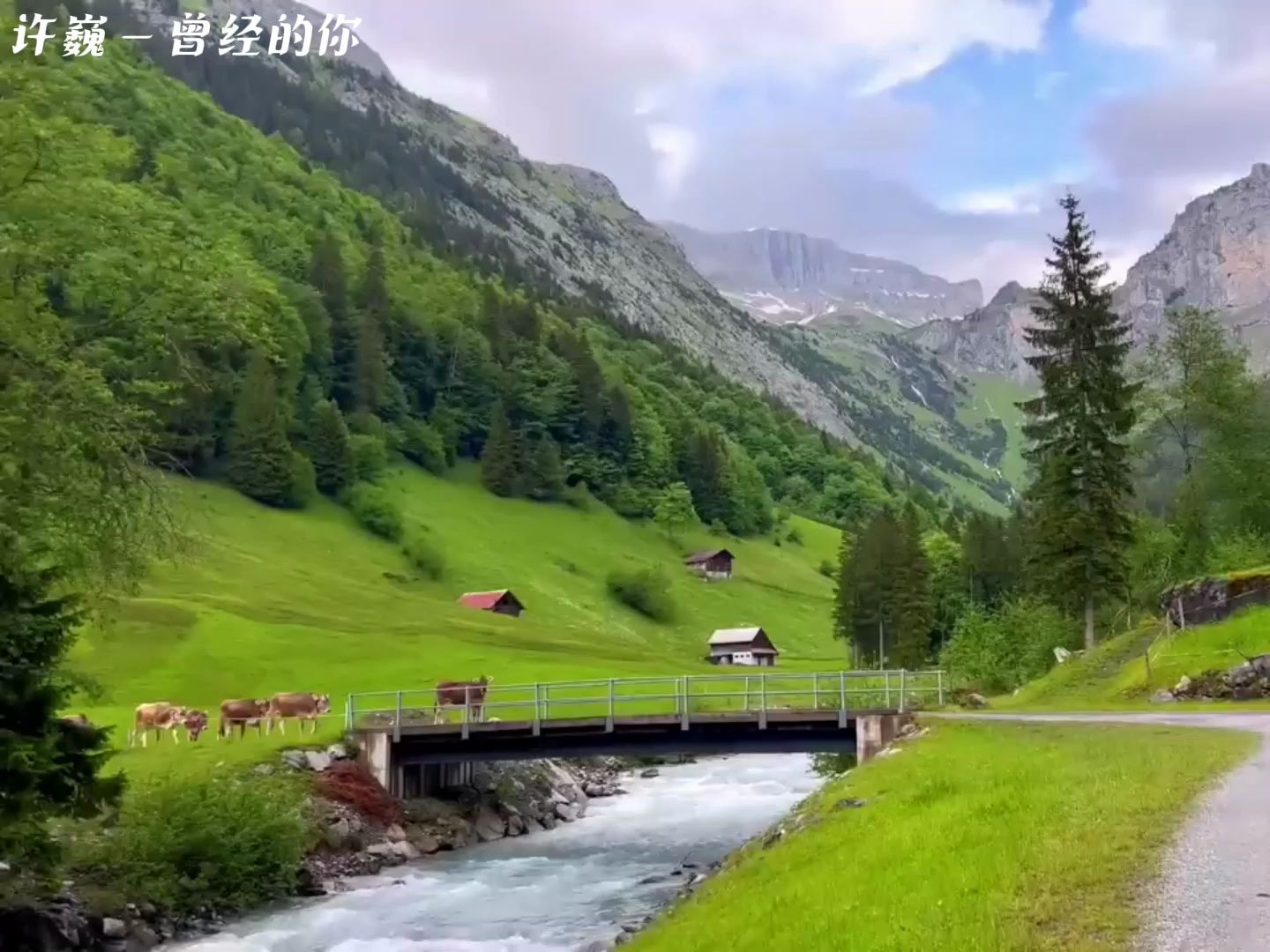 [图]许巍音乐之旅，精选十曲畅听  从《蓝莲花》到《曾经的你》，每一首都唱进灵魂深处