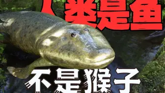 为什么说人是鱼变的，而不是猴子？