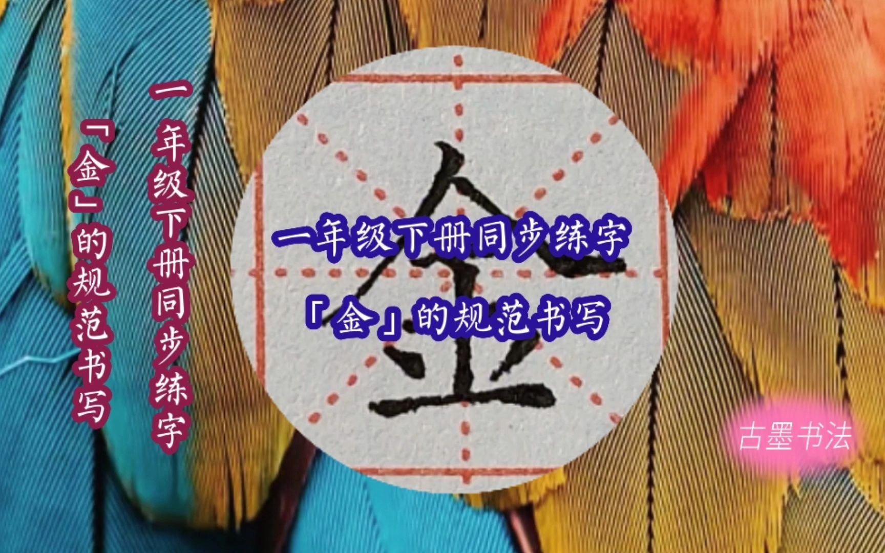 一年级下册生字“金”的写法,上宽下窄,人字头交点和竖上下对正哔哩哔哩bilibili