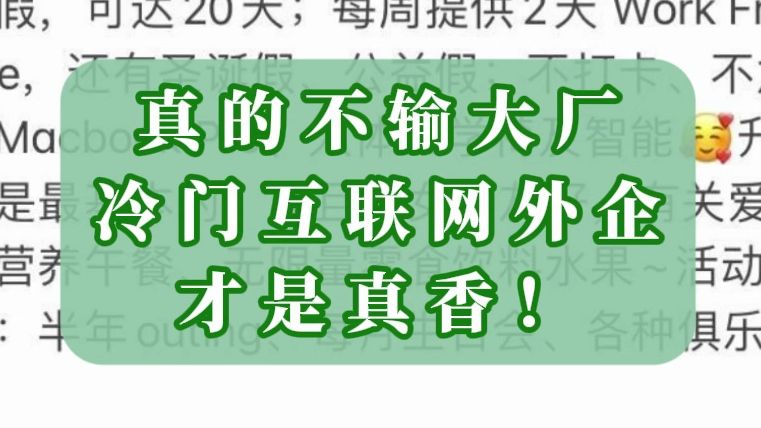 互联网这个板块,遇到的小众冷门的外企,是真的“神仙”!哔哩哔哩bilibili