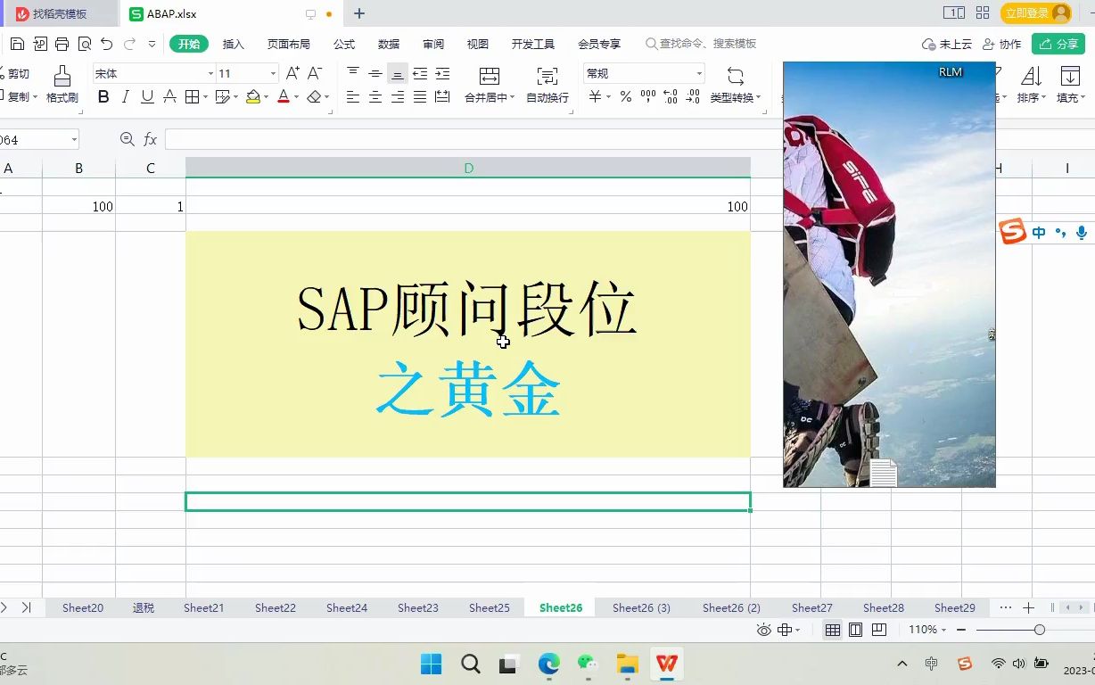 SAP段位之黄金 SAP S4 HANA FICO SAP S4 HANA MM SAP S4 HANA ABAP 金蝶用友哔哩哔哩bilibili