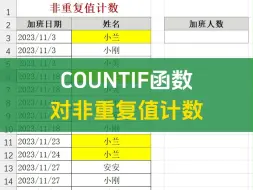 Download Video: 通过COUNTIF函数对非重复值计数