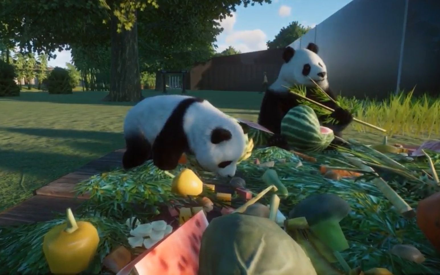 动物园之星(planet zoo)里的可爱滚滚!杀时间白噪音,工作学习背景音!