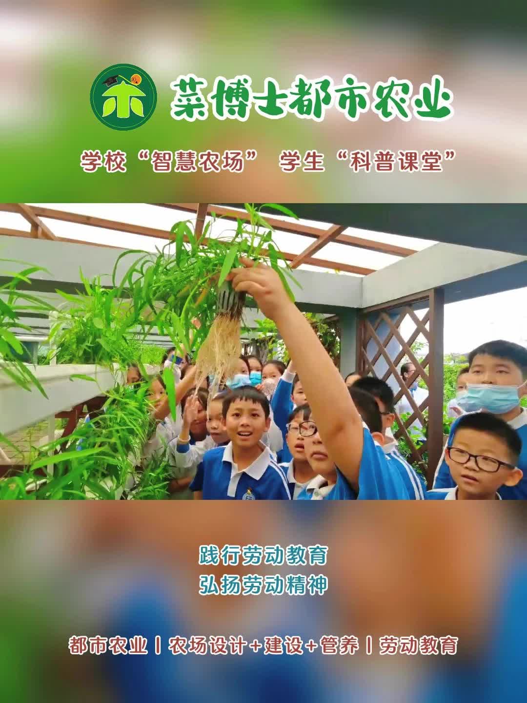 深圳社会实践实践基地怎么样?感兴趣的朋友等你来了解;专业提供社会实践、社区共享农场活动哔哩哔哩bilibili