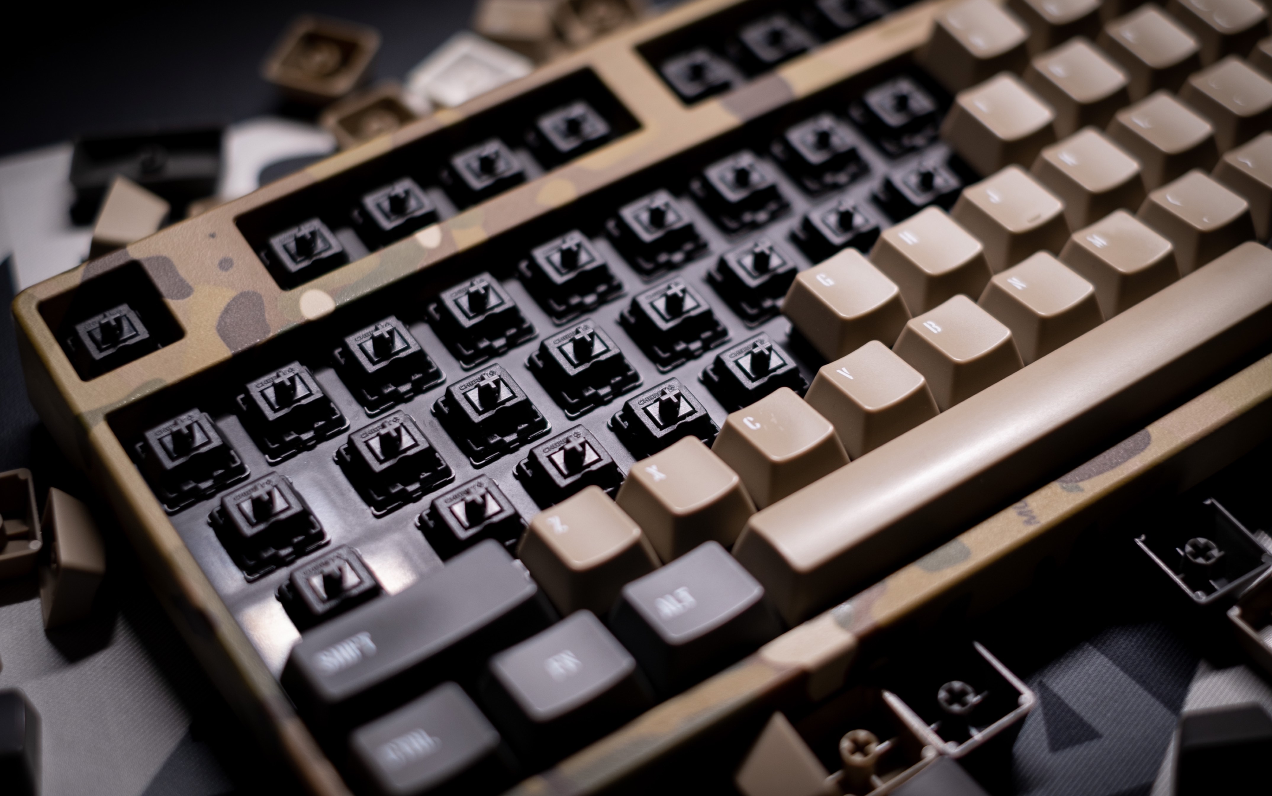 【打字音】挑战最强量产键盘filco斐尔可hg黑轴樱桃轴打字音机械键盘