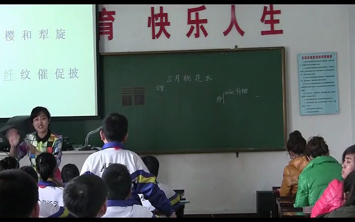 [图]四下：《三月桃花水》（含课件教案） 名师优质课 公开课 教学实录 小学语文 部编版 人教版语文 四年级下册 4年级下册（执教：王丹微）【市一等奖】