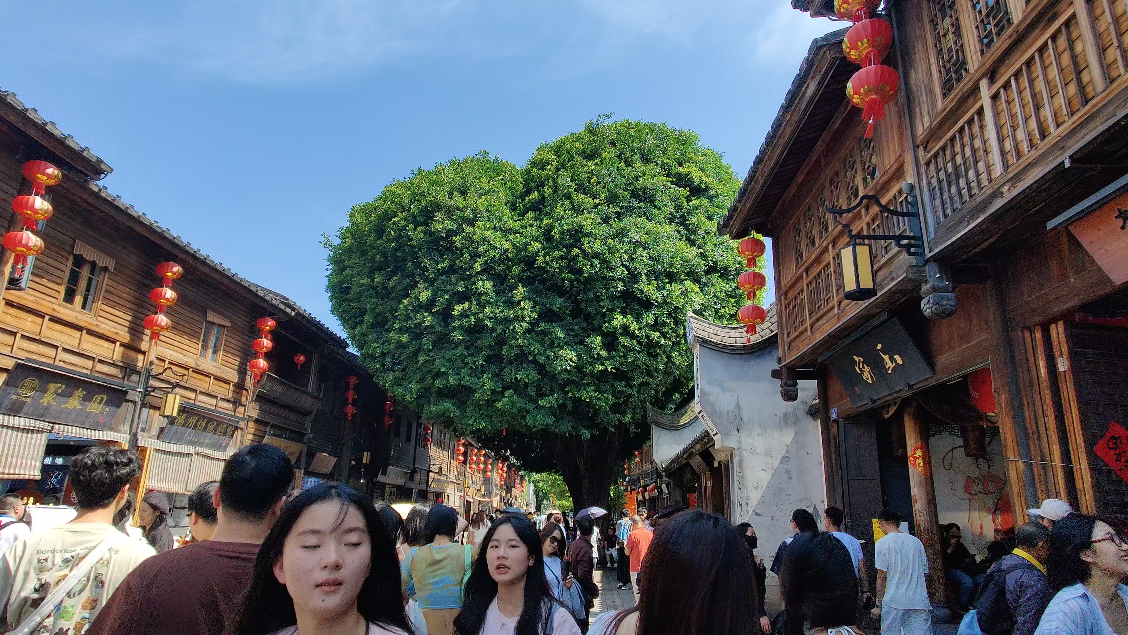 福建省福州市网红爱心树