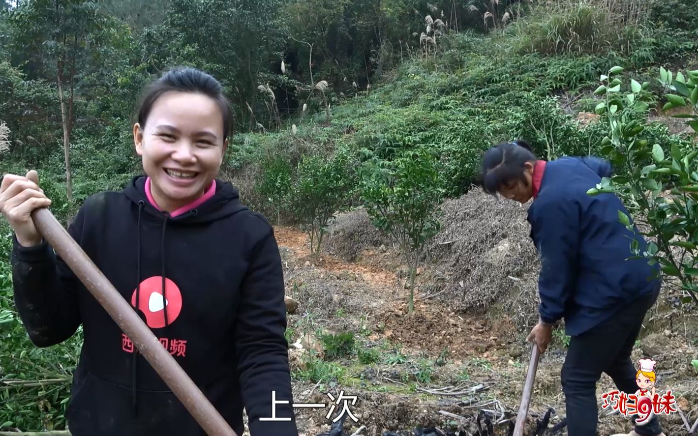 巧妇9妹移植沃柑树,幸好半途9哥来了,减轻了很多负担!哔哩哔哩bilibili