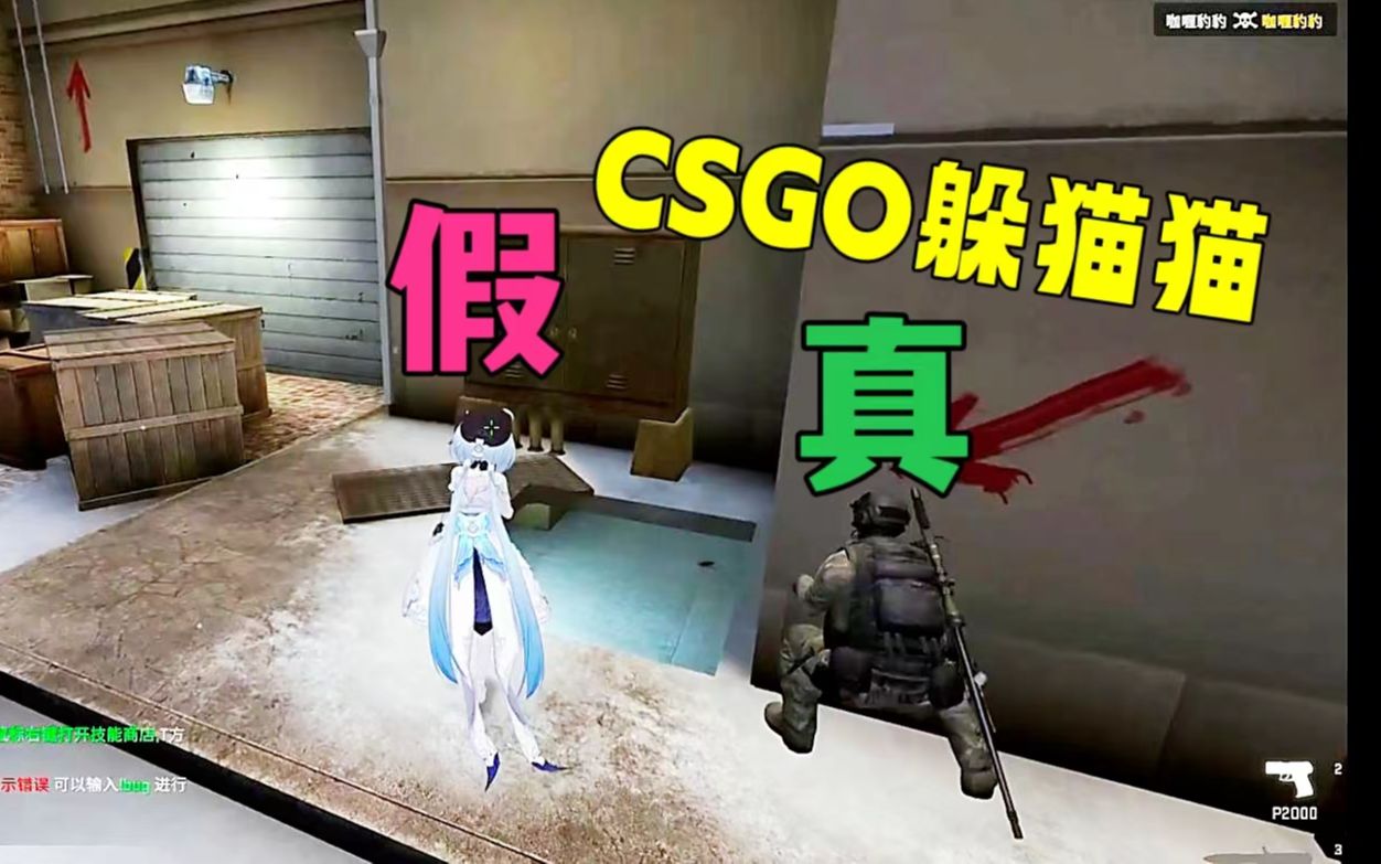 [图]CSGO躲猫猫，真假CT的对决