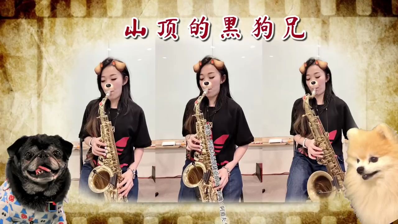 [图]山頂的黑狗兄-Saxruby