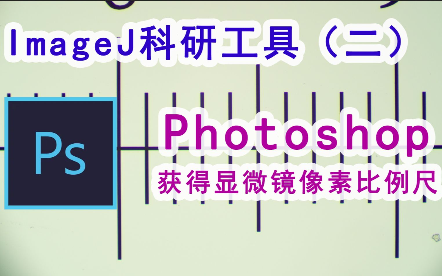 ImageJ/Fiji测量(二)【作废!直接用ImageJ测量像素!!!无需本视频】利用PS获得显微镜图片像素与微米长度的比例尺对应关系哔哩哔哩bilibili