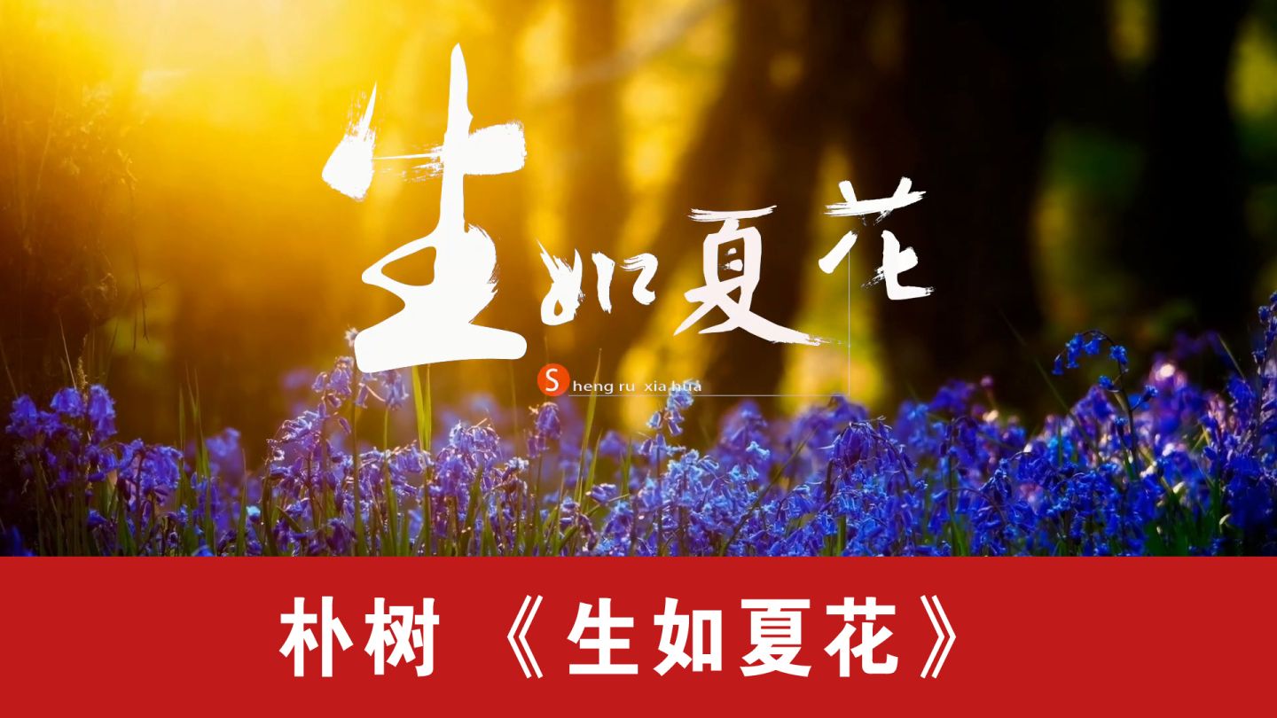 《生如夏花》配乐伴奏动态演出舞蹈比赛晚会舞台大屏幕led背景视频