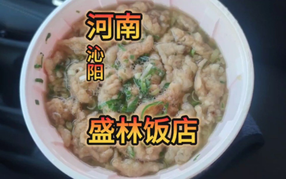 河南焦作市沁阳市西万盛林饭店哔哩哔哩bilibili