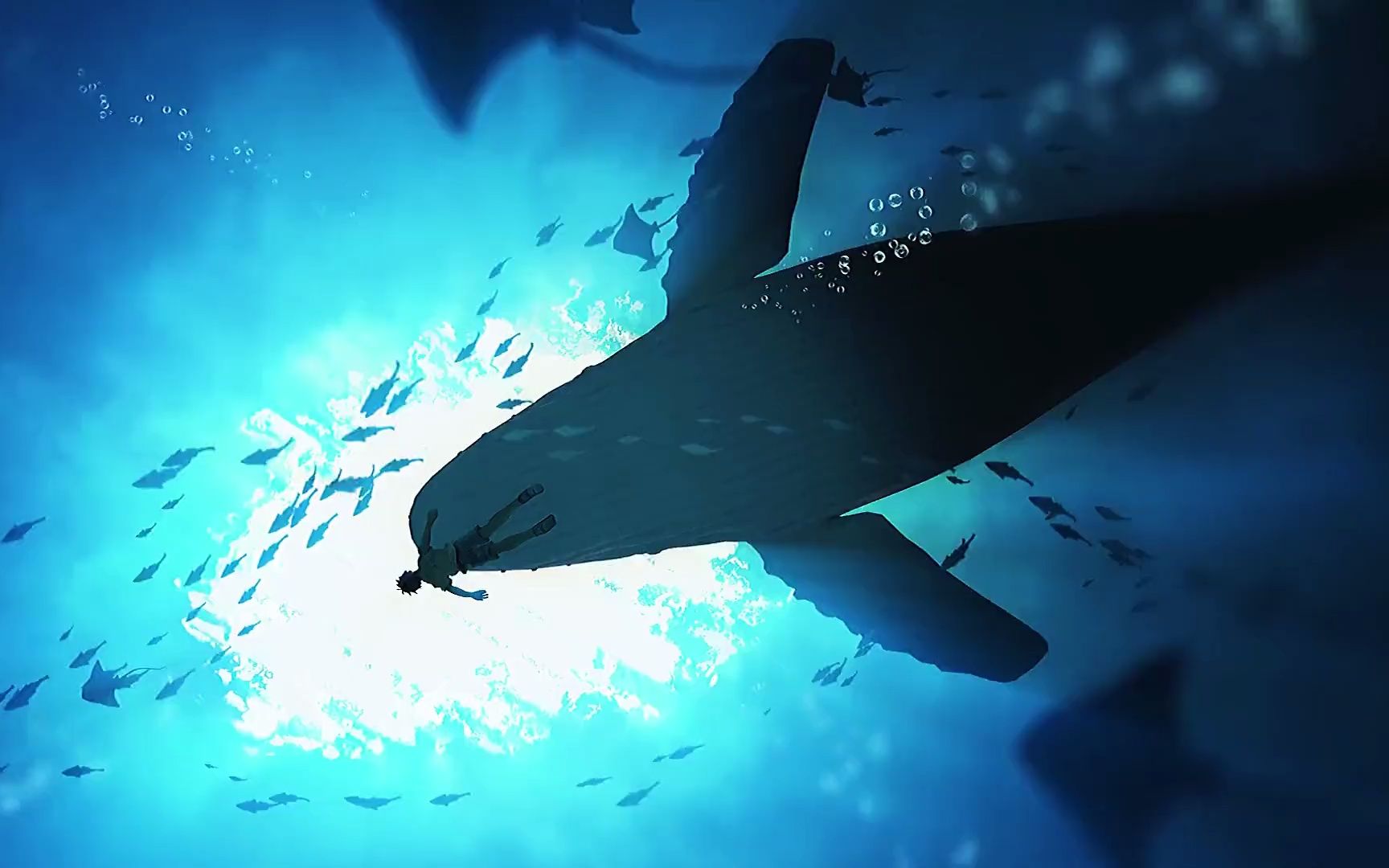 海洋生物 鲸鱼 海底世界