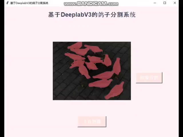 基于DeeplabV3的鸽子分割系统哔哩哔哩bilibili