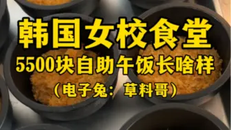 韩国女校食堂5500元自助午饭长啥样？（我就知道，食堂阿姨最惯着我了）