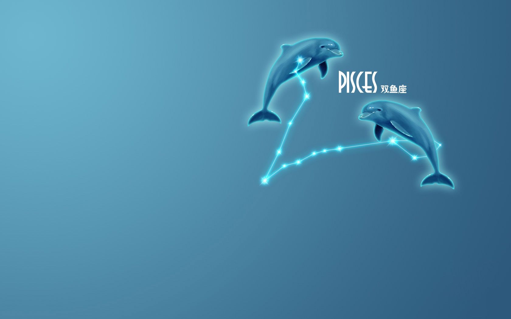水象星座双鱼座,2021年7-8月爱情事业财运详情