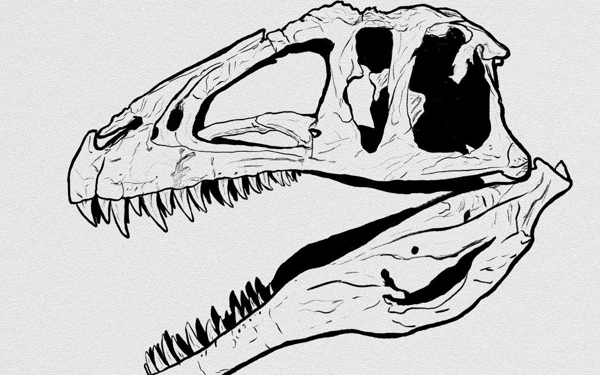 高棘龙凯茜攻击北方盾龙的生物力学模拟_哔哩哔哩_bilibili