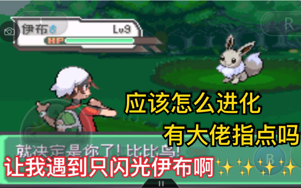 口袋妖怪究极绿宝石第4张闪光伊布