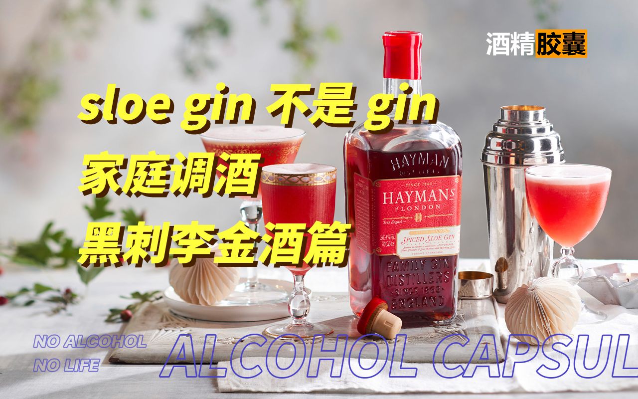 源自家庭的黑刺李金酒是金酒吗? sloe gin cocktails哔哩哔哩bilibili