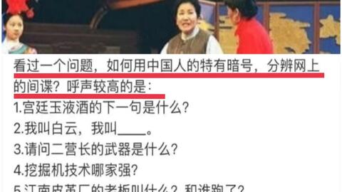 用中国人特有的暗号 分辨网上间谍 呼声较高的是 哔哩哔哩