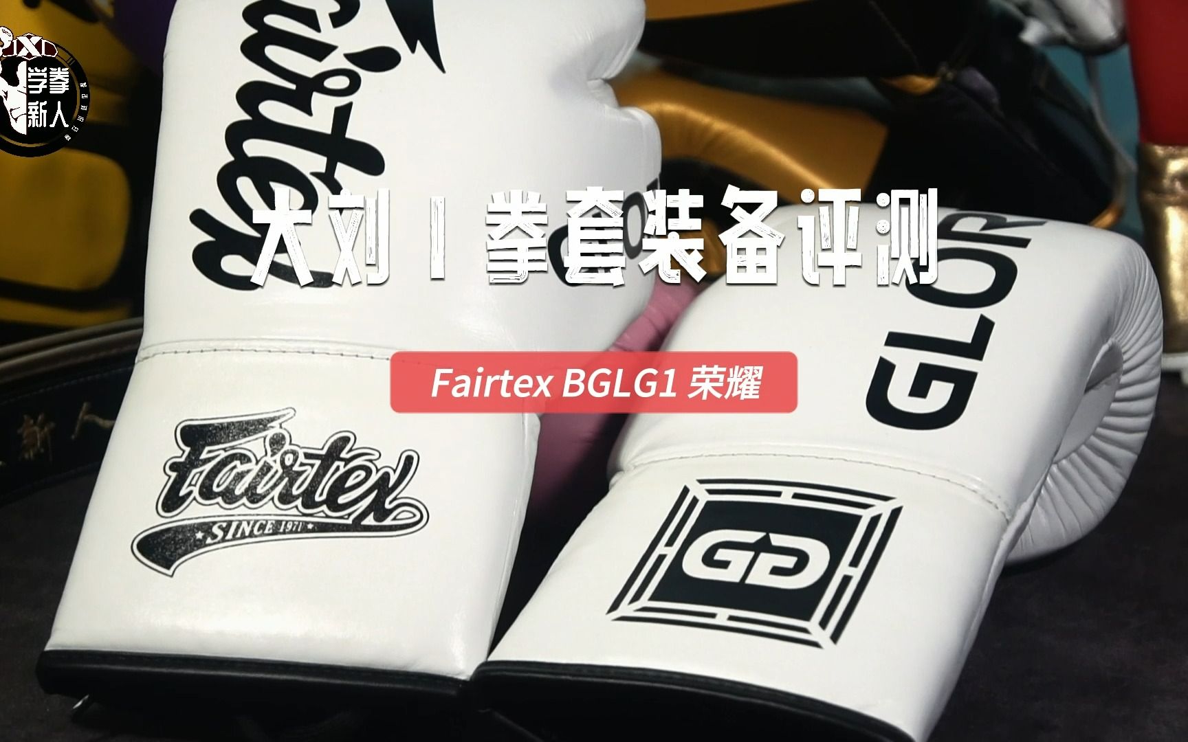 好用的 Fairtex BGLG1 荣耀拳套,以后轻实战就用它了哔哩哔哩bilibili